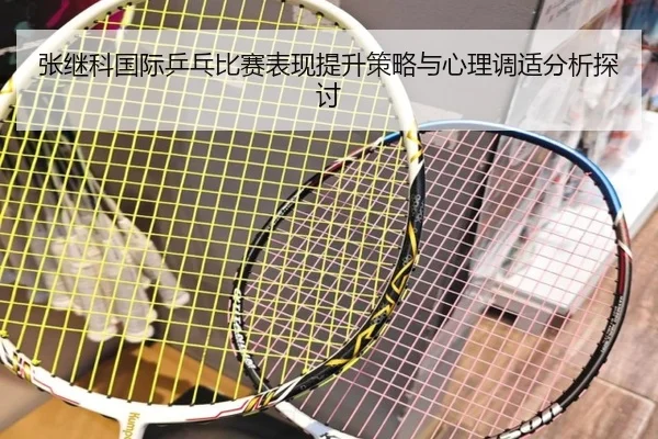 张继科国际乒乓比赛表现提升策略与心理调适分析探讨